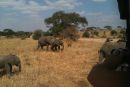Le safari en photos